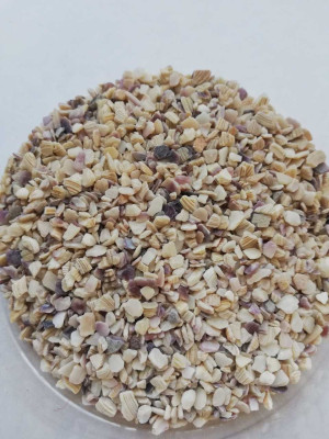 MİDYE KIRIGI   2 NO   10 KG