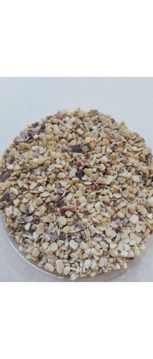 MİDYE KIRIGI   2 NO   10 KG