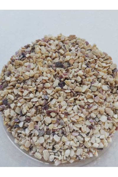 MİDYE KIRIGI   2 NO   10 KG