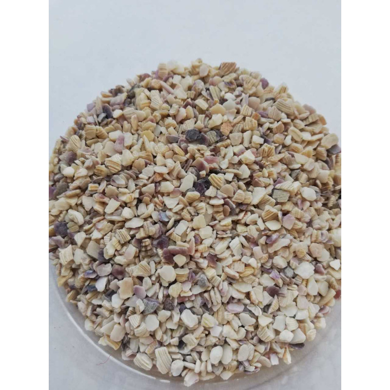 MİDYE KIRIGI   2 NO   10 KG