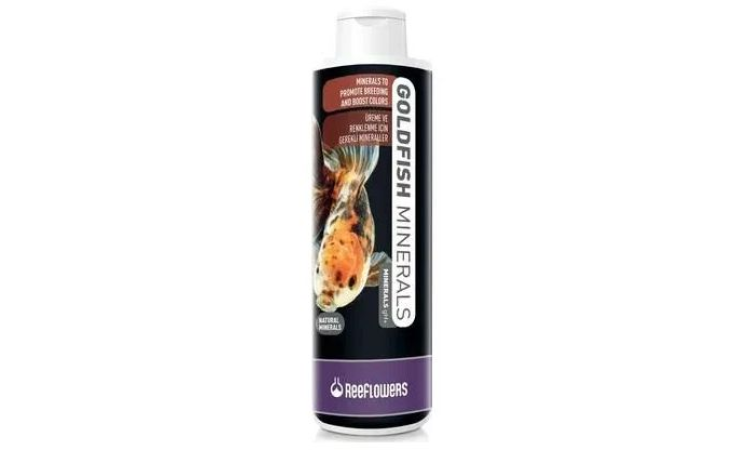 GF50-REEFLOWERS GOLDFİSH 50CC