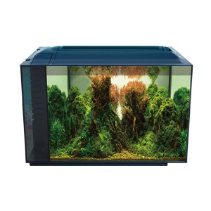 ANUBİAS CORYDORAS 55 NANO AKVARYUM SİYAH 55,5 X 29 998-A-1280