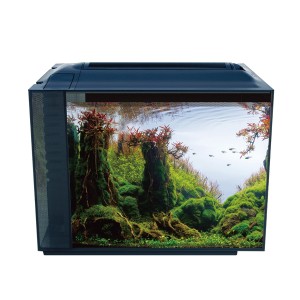 ANUBİAS BOTİA 55 NANO AKVARYUM SİYAH 55,5 X 29,5 X 998-A-1380