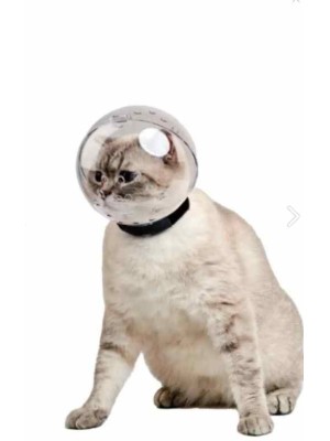 KEDİ FANUS KAFALIK KEDİ FANUS KAFALIK