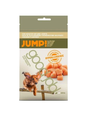 JUMP CHICKEN DOG 100 GR JUMP CHICKEN DOG 100 GR