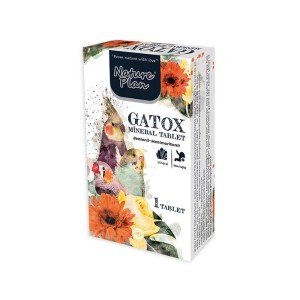 NATURE PLAN MİNERALLİ TABLET TAŞ