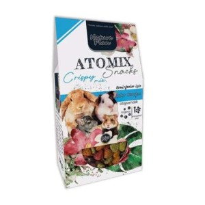 NATURE PLAN ATOMİX SNACKS MİXTURE 250 GR