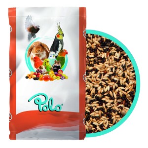 POLO KARIŞIK STANDART KANARYA YEMİ 20 KG